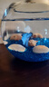 【泰國進(jìn)口精品斗魚(yú)】觀(guān)賞魚(yú)苗金魚(yú)熱帶好養耐活體淡水半月婚紗魚(yú) S級*藍色公下單送魚(yú)食 曬單實(shí)拍圖