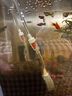YEE魚(yú)缸氧氣泵增氧泵超輕音可調節氣量充氧泵水族箱小型魚(yú)缸增氧機 雙孔3.5W+氣盤(pán)套餐 曬單實(shí)拍圖