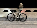 喜德盛（xds）25款AD300公路車(chē)20速油碟桶軸全隱藏走線(xiàn)車(chē)架自行車(chē)成人ad300 白蛇 25款 510mm|身高170~180cm 順豐當日發(fā) 曬單實(shí)拍圖