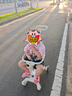 semmook遛娃神器可折疊嬰兒推車雙向手推車嬰兒車0-3歲溜娃神器一鍵收車 升級款加大輪【帶加大遮陽棚】 曬單實(shí)拍圖