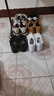 耐克（NIKE）Jordan耐克喬丹AJ1板鞋女子運動(dòng)鞋秋季刺繡板鞋低幫緩震DC0774 101白色/黑/白色 40 曬單實(shí)拍圖