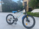 鳳凰（Phoenix）兒童自行車山地車男女學(xué)生腳踏車6-15歲童車 霸道 白藍(lán)色 20寸 曬單實拍圖
