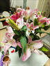禾之潤香水百合花鮮花云南昆明基地直發(fā)批鮮切家用水養(yǎng)插花 紅美人香水百合10朵 關(guān)注店鋪送進口營養(yǎng)液 曬單實拍圖