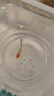 魚(yú)如云各種精品孔雀魚(yú)純種孕母臨產(chǎn)大肚母魚(yú)帶孕下仔下崽狂魔小型熱帶魚(yú) 鴻運當頭 1公2孕母 曬單實(shí)拍圖