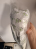 春風(fēng)茶葉梗小包25包新房去甲醛除味茶葉根去味包新車新家具裝修除異味 曬單實(shí)拍圖