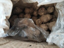 現(xiàn)挖現(xiàn)發(fā)洋姜新鮮鬼子姜不辣姜菊芋洋姜種子2斤5斤9斤裝腌制泡姜 精選(小果) 5斤 曬單實拍圖