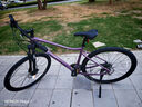 Liv麗以芙Rove 3 DD油壓碟剎16速可鎖死避震多功能公路自行車(chē) Purple Ash 700C×500MM L 建議170-183cm 曬單實(shí)拍圖