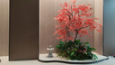 仿真楓葉樹大型綠植室內(nèi)設(shè)計裝飾假樹櫥窗造景紅楓樹雞爪槭 定制景觀 曬單實拍圖