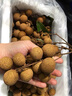三萌果蔬石硤儲良龍眼【順豐冷鏈-多地隔日達】新鮮龍眼桂圓送禮 10斤石硤龍眼【蕞劃算】凈重9斤 【順豐速發(fā)】9A級丨老樹果【送禮力薦】 曬單實拍圖