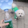 嬉皮狗（hipidog）狗狗外出飲水壺爪印水杯便攜式喂水壺可接礦泉水瓶喝水碗寵物用品 邦迪藍 水杯頭 曬單實(shí)拍圖
