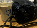 綠巨能（llano）索尼NP-FZ100相機電池充電器a7m4 a7m3 a7c a7r3 a7r4 a6600 a1 a9 fx3/30 A7c2 A7S3儲電快充盒 [儲電+收納+快充]12400 曬單實拍圖
