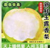京地達梨山東玉露香梨子水果禮盒凈重9斤單果300g+中秋送禮源頭直發(fā)包郵 曬單實(shí)拍圖