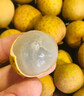 山姆伯伯廣東新鮮龍眼桂圓【多地次日達】年貨水果中秋禮品 凈2.5斤帶箱裝【較劃算-20%選】 【蜜甜】茂名·石硤龍眼 曬單實(shí)拍圖