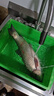 美人魚(yú)美人魚(yú)千斤頂輕量巨物竿大物碳素桿青魚(yú)鱘魚(yú)竿黑坑水庫(kù)桿 6H 28調(diào) 7.2米（送竿稍） 曬單實(shí)拍圖
