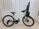 小森林WOODS自行車(chē)T100公路車(chē)24寸26寸入門(mén)變速通勤成人學(xué)生男女款單車(chē) 瓦松綠 26寸【適合身高150-165cm】 曬單實(shí)拍圖
