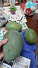 京鮮生 攀枝花凱特芒果 凈重4.5斤 帶箱5斤 單果400g+ 生鮮水果源頭直發(fā) 曬單實(shí)拍圖