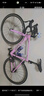 坎普（CAMP）RADON 公路車(chē)鋁合金順泰18變速單車(chē)圈剎運(yùn)動(dòng)賽車(chē)碳纖維前叉自行車(chē) 粉色 18速 480碼 曬單實(shí)拍圖