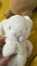 Jellycat害羞乳白色邦尼兔動物毛絨玩偶安撫玩偶送禮娃娃生日新婚禮物 乳白色 Medium 曬單實拍圖