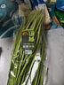 【有機】韭菜250g 曬單實拍圖