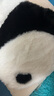 LIVING INC熊貓 毛絨抱枕可愛卡通靠枕頭床頭墊沙發(fā)客廳宿舍學(xué)生公仔床頭靠 熊貓懶懶 50x50cm(枕套 枕芯) 曬單實(shí)拍圖