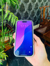 圣圖朗小羊皮可愛熊貓適用phone15promax蘋果14手機殼新款16pro情侶12男女生防摔11磨砂硅膠13全包保護套 小羊皮 -杏白底四只貓咪Lucky  iPhone 16 pro 曬單實拍圖
