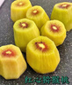 正宗蒲江紅心獼猴桃30粒新鮮水果現(xiàn)摘佳沛金果奇異果翠香徐香大果 12枚大果【現(xiàn)摘甄選】 曬單實(shí)拍圖