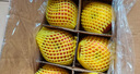 京鮮生 陜西洛川紅富士蘋果 凈重5斤 單果260g 新鮮水果 源頭直發(fā) 曬單實(shí)拍圖