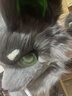 獸裝cos服Fursuit成品日系獸裝頭套全裝半裝漫展cosplay服裝搞怪 來圖定制看圖報價 曬單實拍圖
