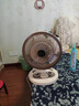 駱駝電風(fēng)扇家用電扇臺式多功能小型風(fēng)扇學(xué)生宿舍桌面風(fēng)扇可搖頭靜音辦公室桌面臺扇 米色臺扇【搖頭/2檔位】 標(biāo)配+3米遙控定時線 曬單實(shí)拍圖