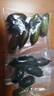 手指檸檬新鮮稀有澳洲指橙水果魚子醬 罕見水果中西餐佐食材 100克【10-18個左右】顏色隨機(jī) 曬單實(shí)拍圖