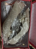 壹號(hào)鳳花朵高跟鞋女主婚紗婚鞋尖頭細(xì)跟日?？纱┎焕勰_新娘鞋法式伴 香檳色5.5cm升級(jí)版更舒適 38 曬單實(shí)拍圖