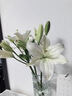 斐月伽北歐時(shí)尚ins風(fēng)加厚玻璃水養富貴竹玫瑰百合干花插花擺件客廳花瓶 透明水晶紋 25cm 曬單實(shí)拍圖