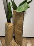 網(wǎng)紅天堂鳥綠植水培植物花卉盆栽客廳好養(yǎng)鶴望蘭四季常青室內(nèi)庭院 天堂鳥60-70厘米2顆（不帶盆） 曬單實拍圖