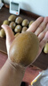 佳沛（zespri）新西蘭  陽光金奇異果巨大果22粒原箱 單果重約144-175g 獼猴桃 曬單實拍圖
