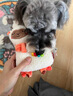 貴為（GiGwi）中小型犬磨牙發(fā)聲響紙狗狗玩具柯基泰迪比熊幼犬小狗寵物玩具羊駝 曬單實拍圖