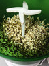 宜樂舒德國(guó)家用豆芽機(jī)遮光全自動(dòng)家用大容量自動(dòng)灑水豆芽發(fā)芽神器發(fā)芽盆 【雙層】1壓盤 曬單實(shí)拍圖