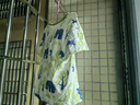 巴厘小豬男童夏裝2025新款寶寶短袖大屁屁褲兩件套夏季嬰幼兒衣服兒童套裝 萌寵之森綠 90 曬單實(shí)拍圖