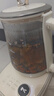 小熊（Bear）小氣泡養(yǎng)生壺 燒水壺 1.5升家用恒溫水壺煮茶器煮茶壺 降噪輕音 帶玻璃燉盅 YSH-F15E1 玻璃花茶壺 曬單實拍圖