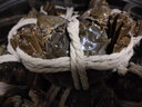 【活蟹】陽(yáng)澄探花大閘蟹 現貨鮮活大螃蟹公母蟹 海鮮水產(chǎn)生鮮禮盒 精品全母4.0-4.3兩8只 曬單實(shí)拍圖