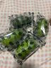 無(wú)籽香水檸檬新鮮采摘獨(dú)立包裝 【單果50g+】 1斤裝 曬單實(shí)拍圖