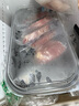 春禾秋牧 阿根廷原切菲力小牛排10片/1kg 進口生鮮牛肉 低脂健身 曬單實拍圖