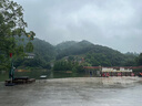慕樂（Mu le）衛(wèi)生間地漏防臭器廁所下水道反味神器下水管全銅內(nèi)芯防蟲除臭通用 【全銅本色】重力直排防臭地漏芯 曬單實(shí)拍圖