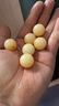 石玥珠寶20mm緬料白玉菩提根木手串把件文玩佛念珠轉(zhuǎn)運(yùn)珠手鏈男女士款 曬單實(shí)拍圖