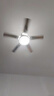 V-POWER不銹鋼餐廳吊扇燈直葉扇 風(fēng)扇燈簡約LED電風(fēng)扇吊燈家用臥室客廳 不銹鋼葉款【變頻】42寸遙控變光 曬單實拍圖
