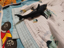 MECHILE海洋動物模型套裝仿真鯊魚海豚海獅海豹白鯨企鵝海龜藍(lán)鯨白鯨螃蟹 藍(lán)鯊 曬單實(shí)拍圖