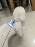 嬉皮狗（hipidog）狗狗牽引繩多彩小花外出遛狗繩泰迪胸背帶中小型犬四季寵物牽引繩 奧麗粉胸背帶 M（建議體重8-15斤） 曬單實(shí)拍圖