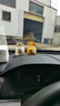 沃舟龍車載香薰梔子花汽車香水車內(nèi)除異味香氛高級(jí)香包車用香袋飾品掛件 梔子花+桂花【2袋】除臭散香 曬單實(shí)拍圖