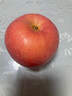 京鮮生 煙臺(tái)紅富士蘋(píng)果 8粒裝 單果160-190g 生鮮水果 曬單實(shí)拍圖