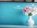 飛利浦23.8英寸 LGD-IPS纖薄屏 四窄邊 全高清 120Hz 低藍光 HDMI+VGA 節(jié)能辦公顯示器 顯示屏24E2N1110S 曬單實拍圖