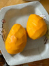 小臺農(nóng)芒果新鮮小臺芒當(dāng)季特產(chǎn)水果  輕微花皮半熟果發(fā)貨 臺芒帶箱5斤50-70g 曬單實(shí)拍圖